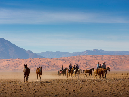 Namibia Horse Safari